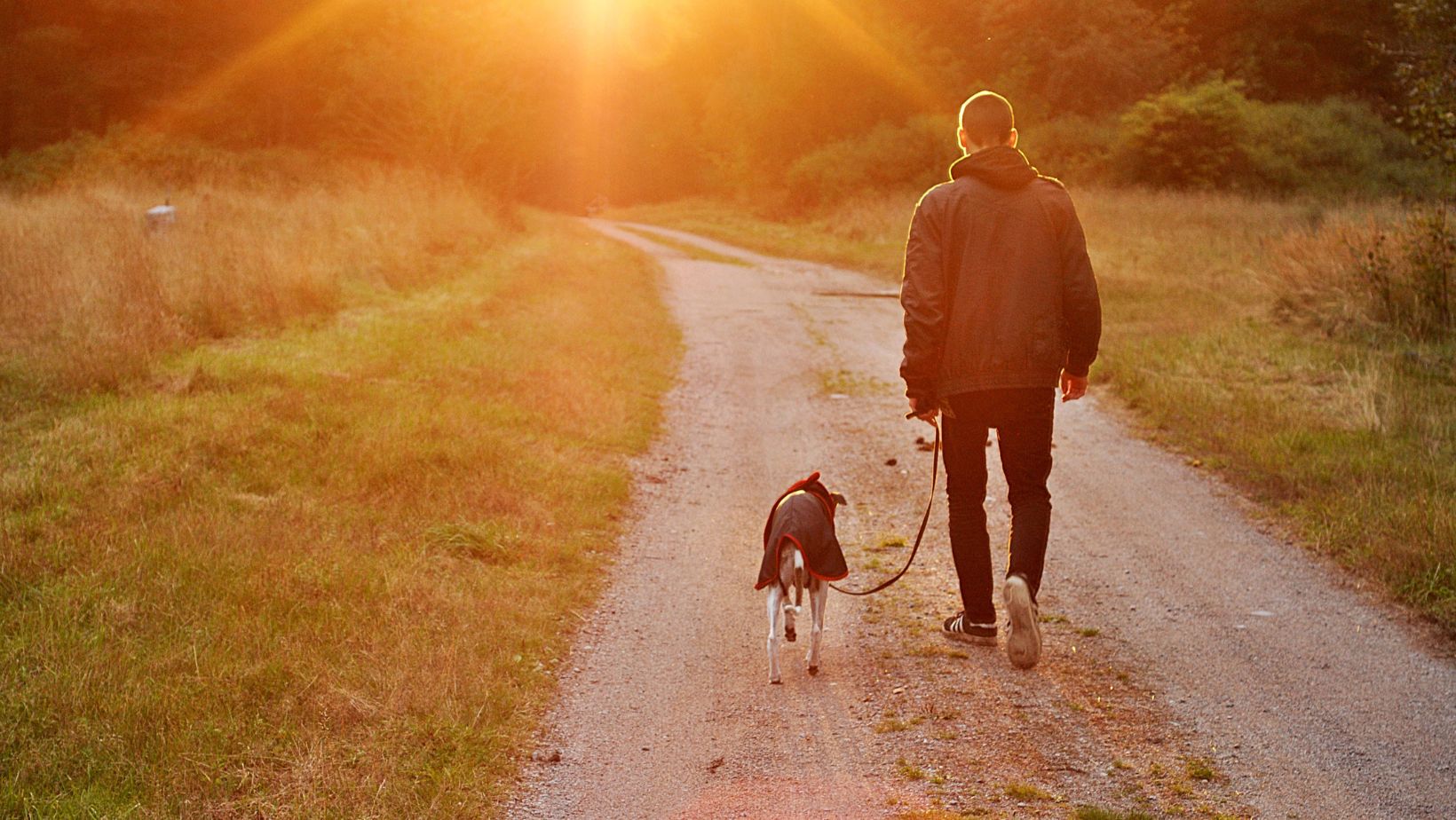 2024 Pet Planning Survey