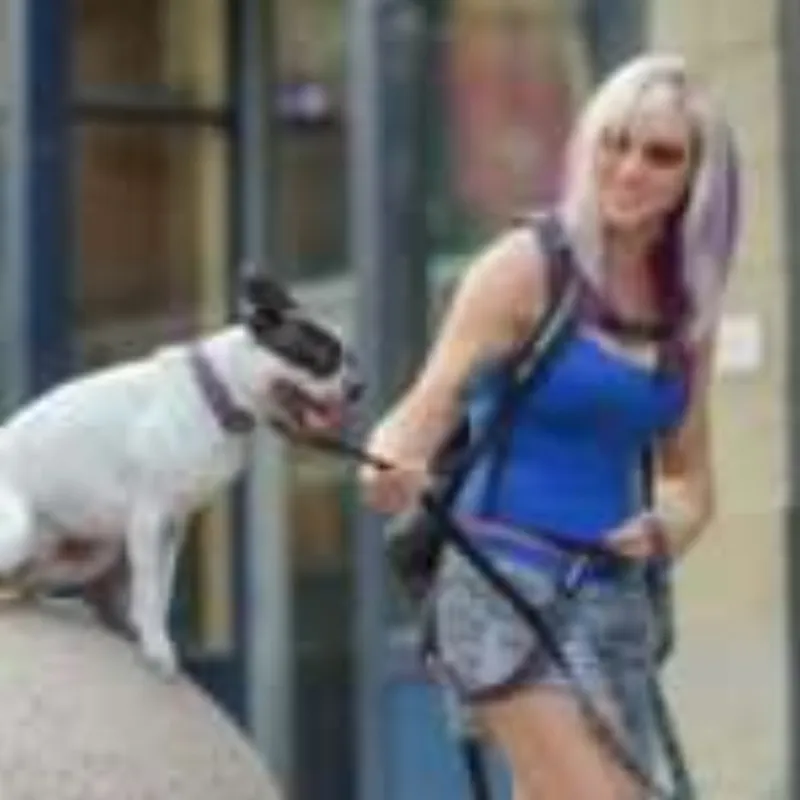 Dog socialization training techniques